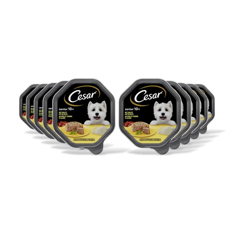 Senior met malse kip en rijst 10-pack