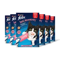 Felix Deli moments liquid snacks zalm 6-pack