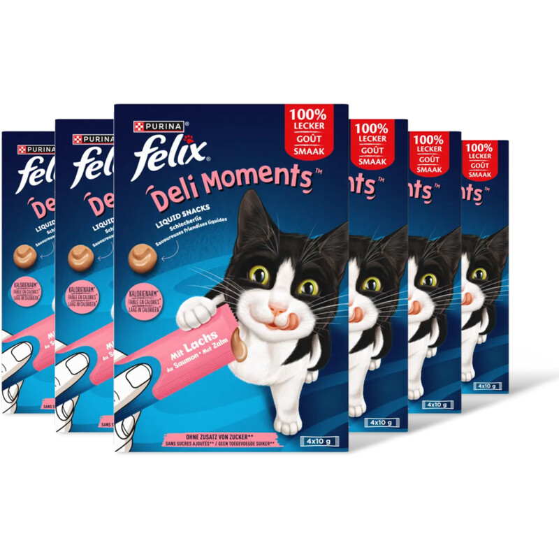 Felix Deli moments liquid snacks zalm 6-pack