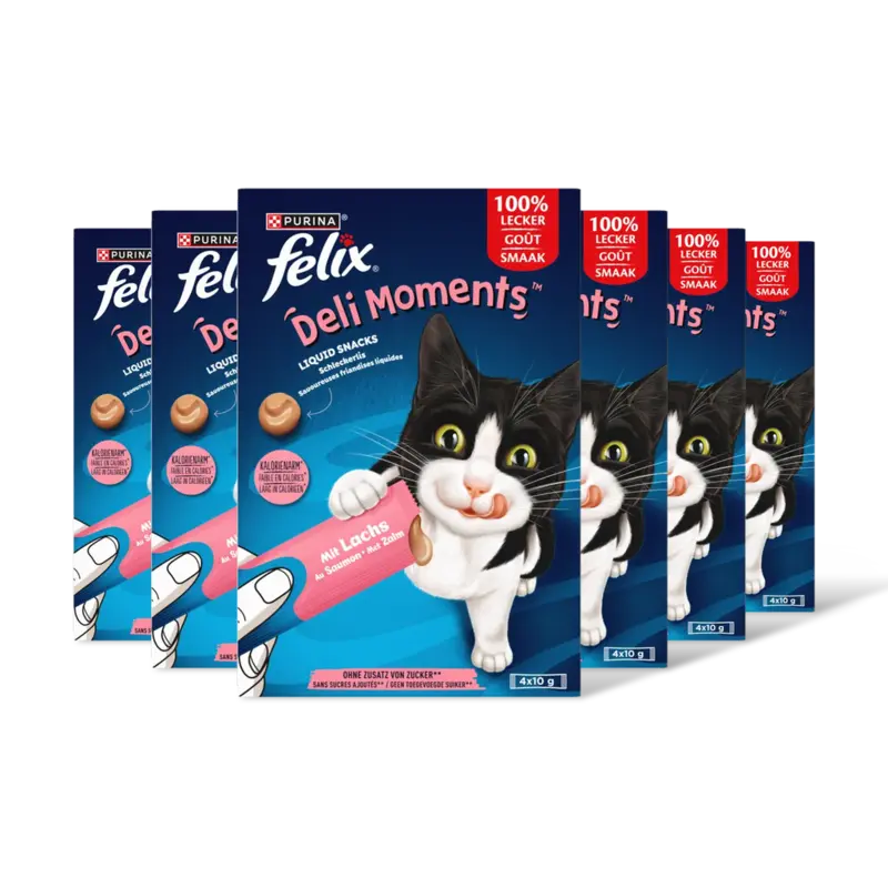 Felix Deli moments liquid snacks zalm 6-pack