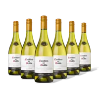 Casillero del Diablo Viognier reserva 6 flessen