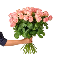 AH Roze rozen x35