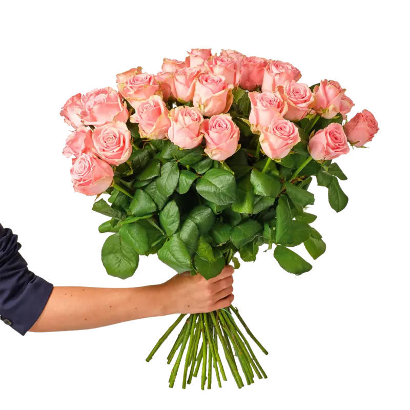AH Roze rozen x35