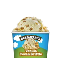 Ben & Jerry's Vanilla pecan brittle