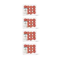 AH Gehaktballetjes kÃ¶fte 4-pack