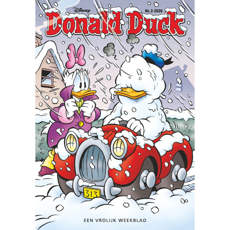 Een afbeelding van Donald Duck