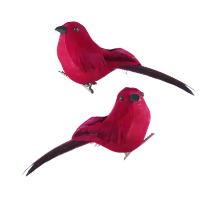 pdp-image-Decoris Vogeltje op clip rood