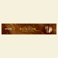 Van Delft Chocolade bonbon hazelnoot crunch