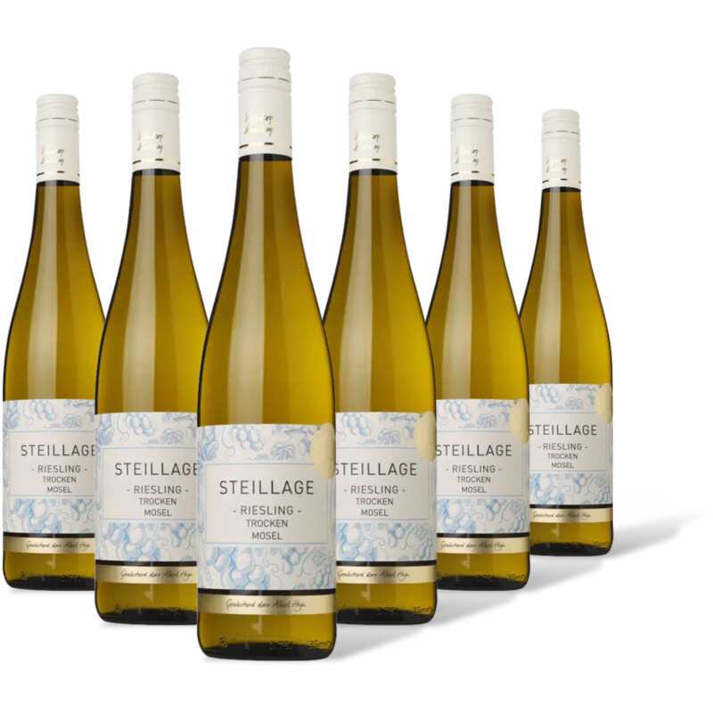 AH Excellent Selectie riesling 6 flessen