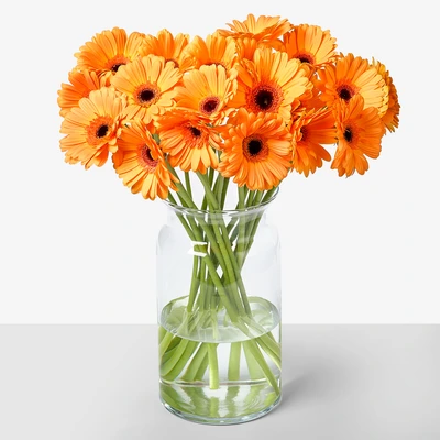 pdp-image-AH Gerbera oranje