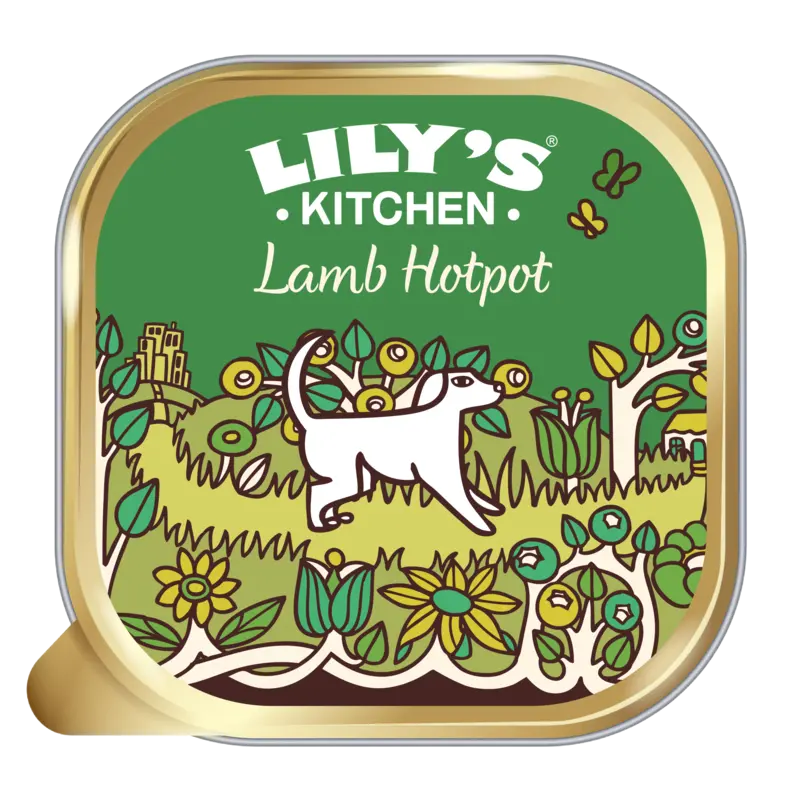 Lamb hotpot met lam