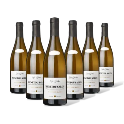 pdp-image-Les Folies Menetou-Salon Blanc 6 flessen