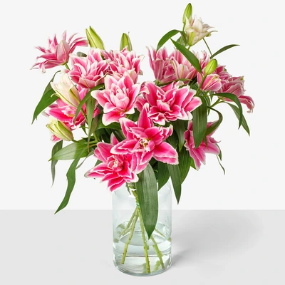 pdp-image-AH Lelies mono roze