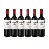 Casillero del Diablo Cabernet sauvignon reserva 6 flessen