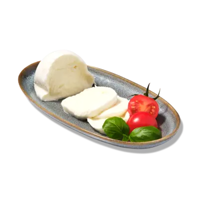 pdp-image-AH Biologisch Buffelmozzarella 52+