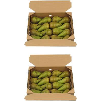 pdp-image-AH Fruitbox peren 2-pack
