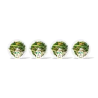 AH Terra Plantaardig stoommaaltijd gyoza bowl 4pk