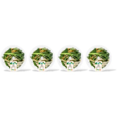 pdp-image-AH Terra Plantaardig stoommaaltijd gyoza bowl 4pk