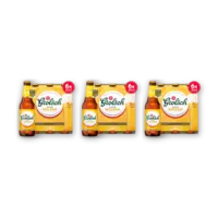 Grolsch Puur weizen speciaalbier 18-pack