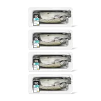 AH BBQ regenboogforel 4-pack