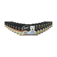 Cesar Hondenvoer senior 10+ jaar 15-pack