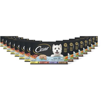 pdp-image-Cesar Hondenvoer senior 10+ jaar 15-pack
