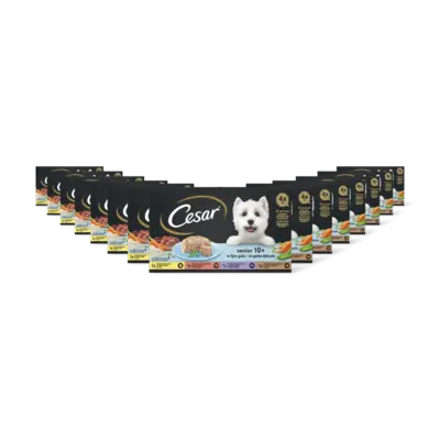 pdp-image-Cesar Hondenvoer senior 10+ jaar 15-pack