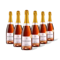 AH Excellent AH Excl. Champagne brut rosé 6 flessen