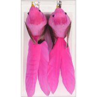 AH Vogels op clip roze