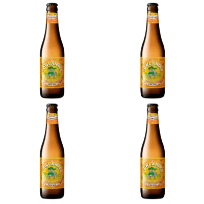 pdp-image-Lowlander Mango IPA 4-pack