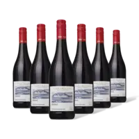 AH Excellent Selectie shiraz alcoholvrij 6 flessen