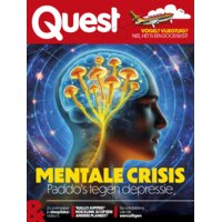 Een afbeelding van Quest