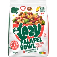 Lazy Falafel bowl mexican fusion