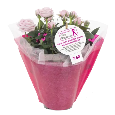 pdp-image-AH Pink ribbon potroos p14