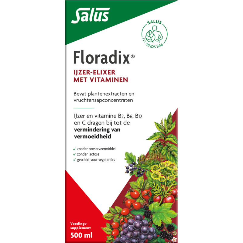 Een afbeelding van Floradix Vloeibaar ijzer-elixir met vitamines