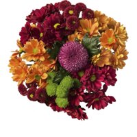 Productfoto van undefined