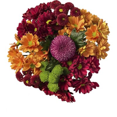 pdp-image-AH Chrysantmix