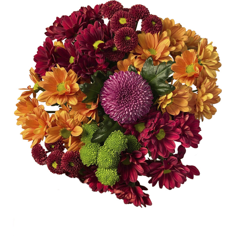 Een afbeelding van AH Chrysantmix