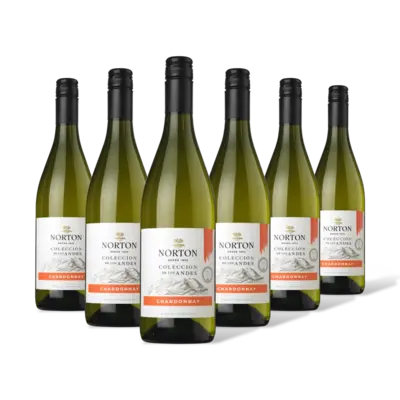 pdp-image-Norton Colección chardonnay 6 flessen