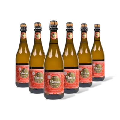 pdp-image-Vintea Sparkling Jasmin 6 flessen