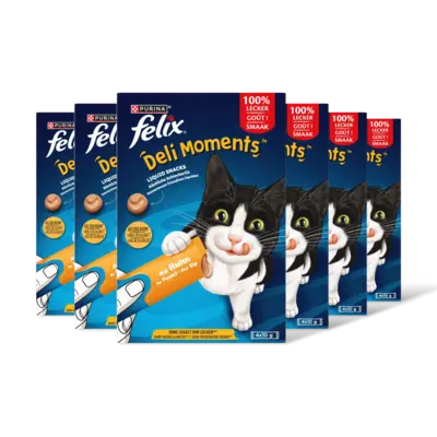 pdp-image-Felix Deli moments liquid snacks kip 6-pack