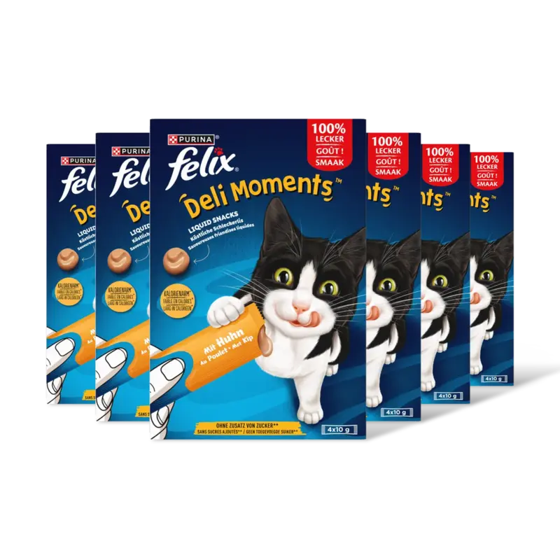 Felix Deli moments liquid snacks kip 6-pack