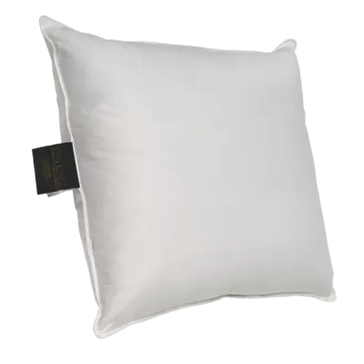 pdp-image-Ten Cate Kussen driekamer dons - 60x70