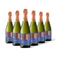 Hola! Cava brut alcoholvrij 6 flessen
