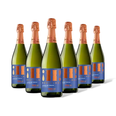 pdp-image-Hola! Cava brut alcoholvrij 6 flessen