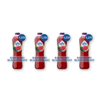 Spa Fruit raspberry blackcurrant 4-pack
