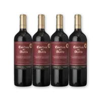Casillero del Diablo Casillero Reserva Esp. Cab. 4 flessen