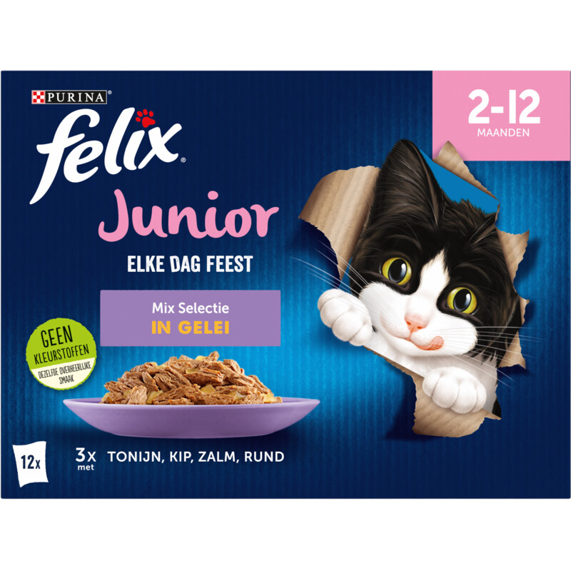 Een afbeelding van Felix Elke dag feest junior mix selectie gelei