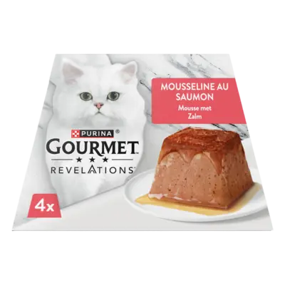 pdp-image-Gourmet Revelations mousse met zalm