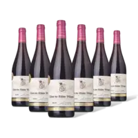 AH Excellent Selectie côtes du rhône 6 flessen